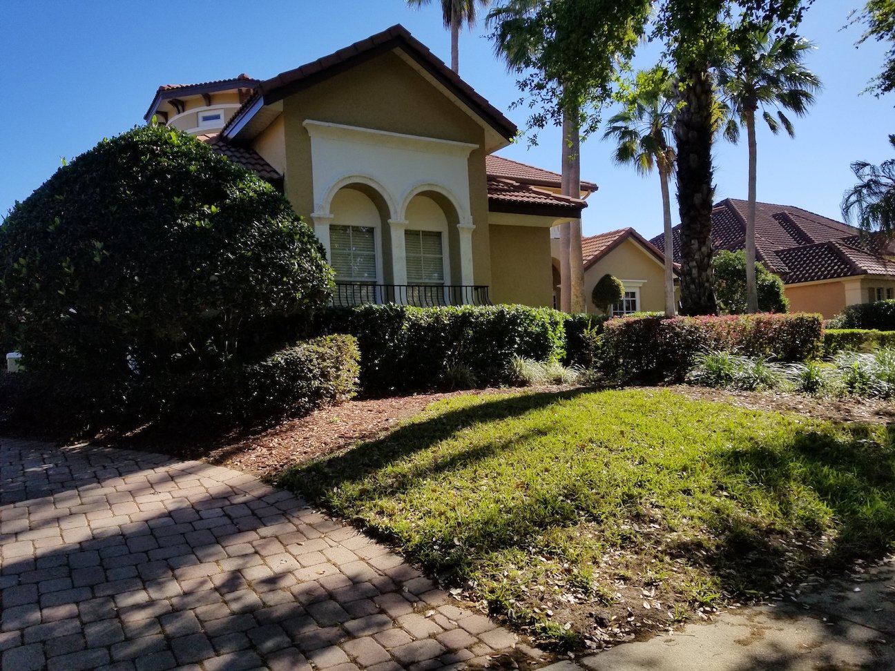 Orlando landscape before renovation