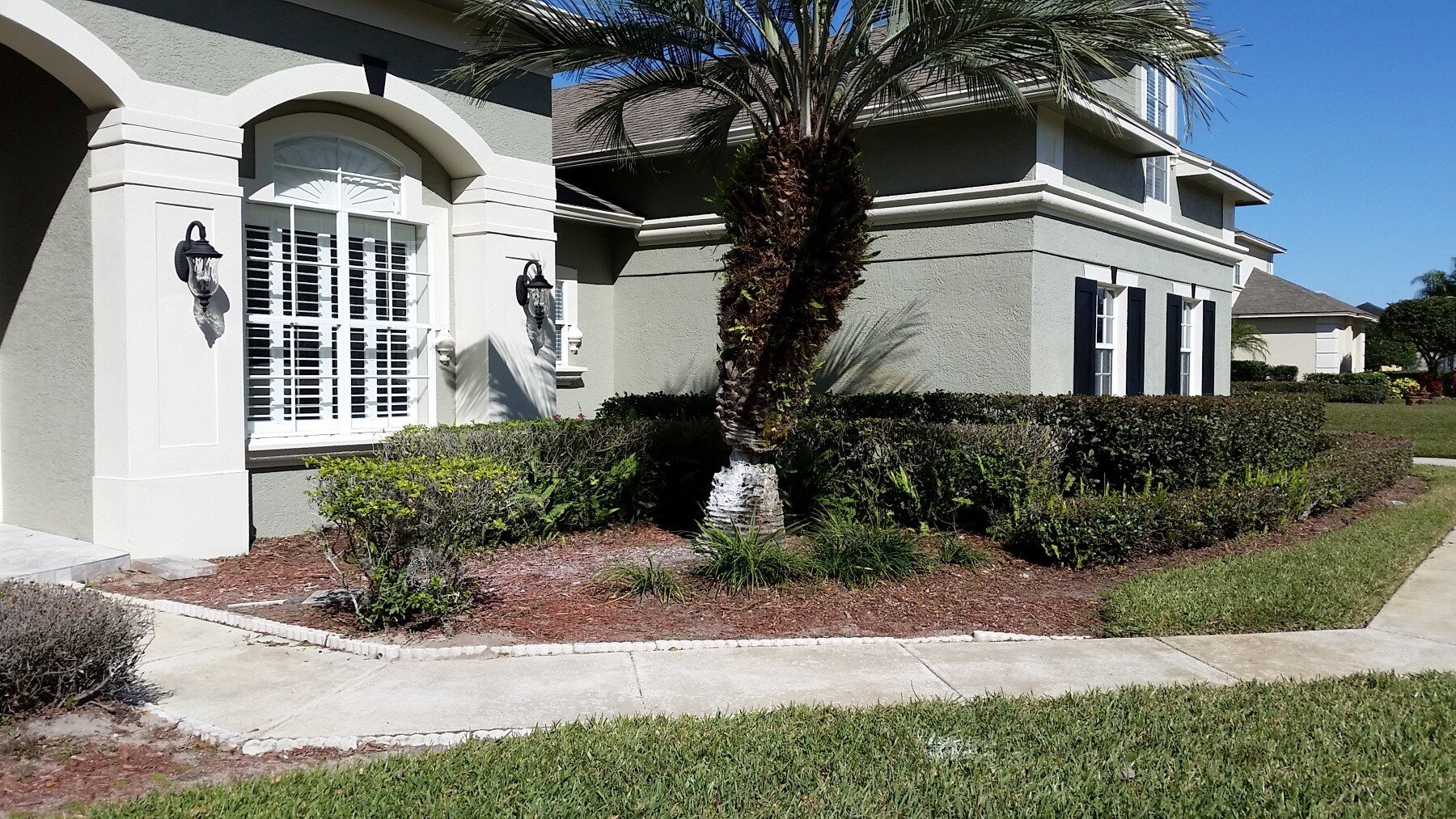 Before Picture of a Windermere FL Landscape needing redesign