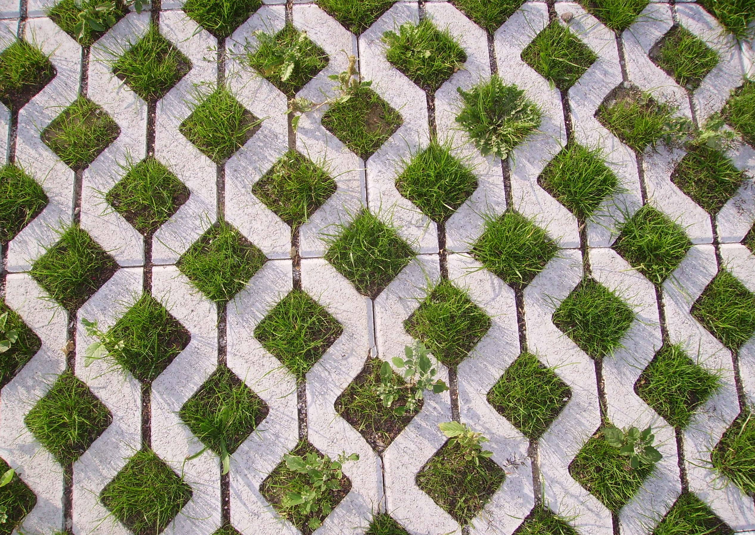 Permeable Pavers 4 CC