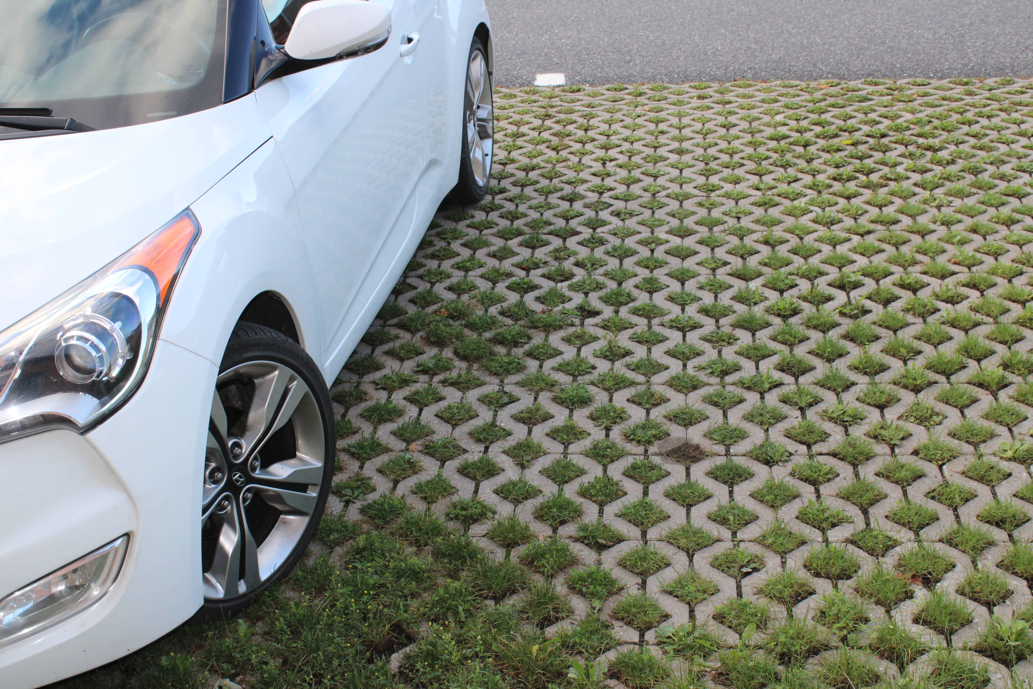 Permeable Pavers 5 CC