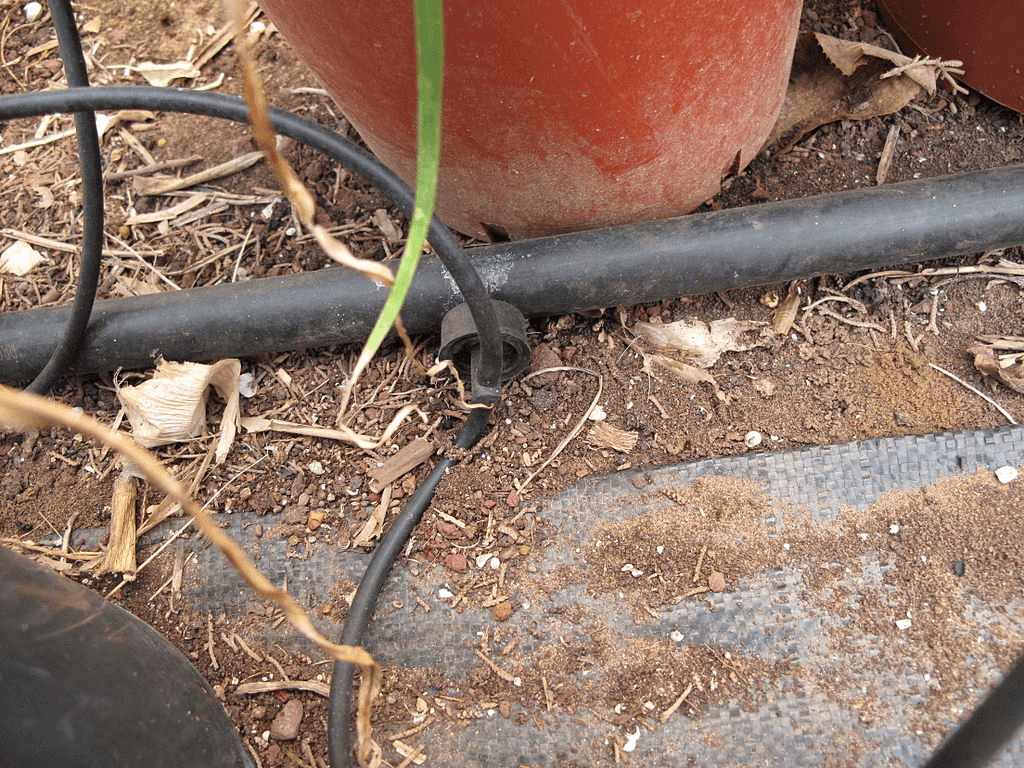 planters with drip irrigation