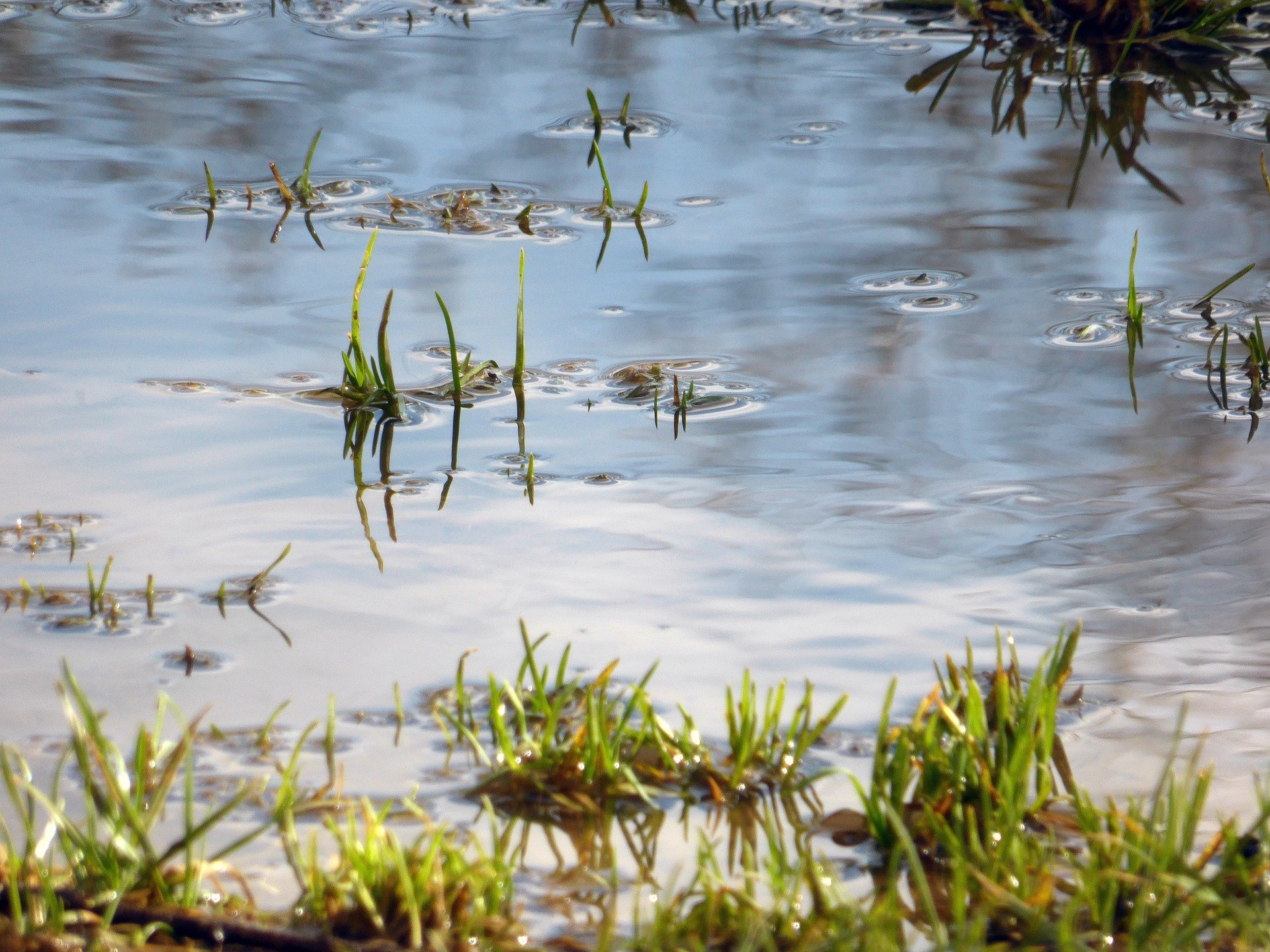 yard drainage french drains orlando fl