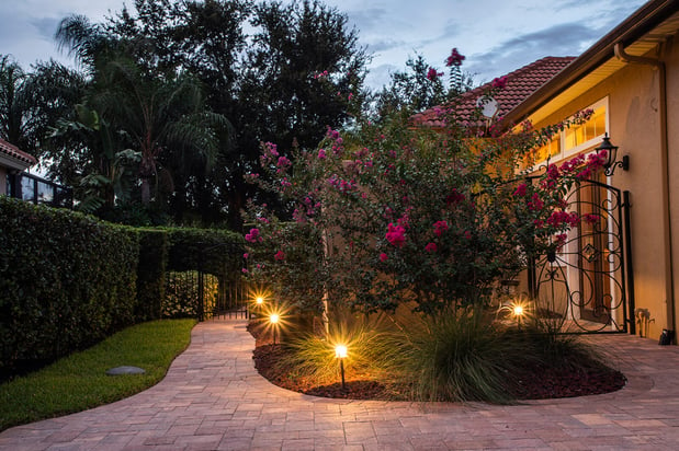 landscape lighting along front planting bed and sidewalk in evening