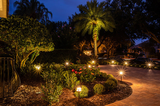 landscape lighting around driveway and near tree