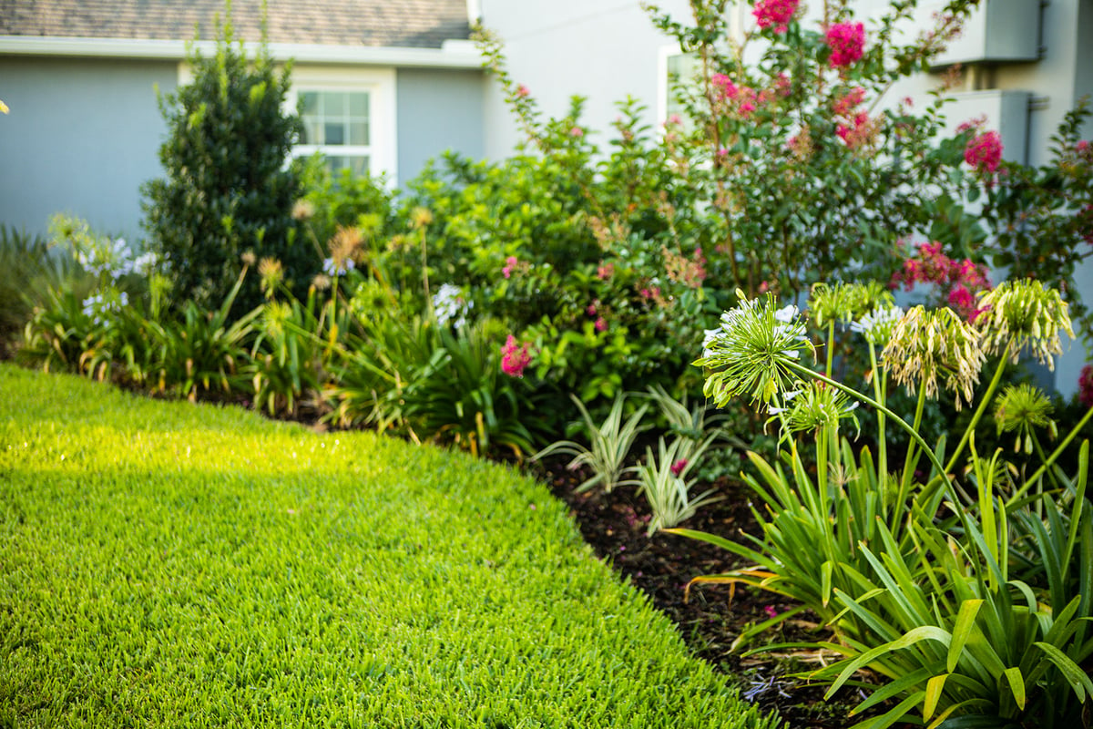 landscape bed full of flowers and plants