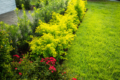 GroundSource_072219-0248
