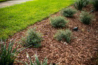 GroundSource_072219-0299