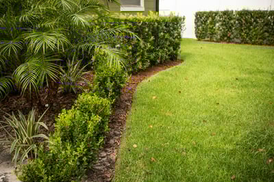 GroundSource_072219-0367