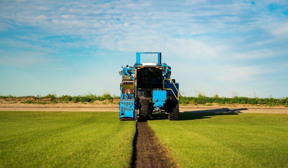 sod being harvested with machine on sod farm