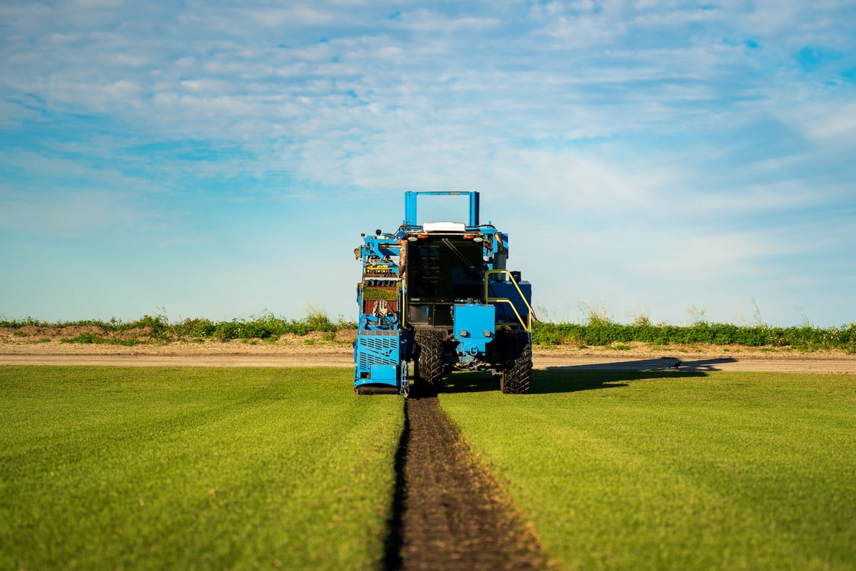 sod being harvested with machine on sod farm