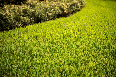 GroundSource_072219-0345
