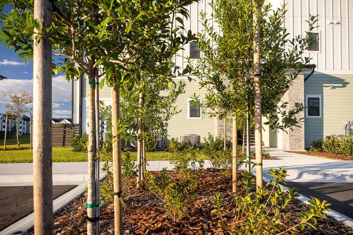 commercial apartments foundation parking lot island planting bed trees 2