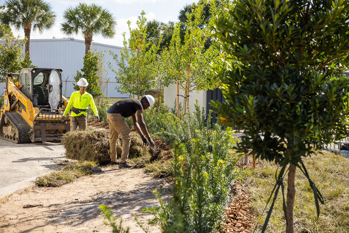 commercial construction crew team plant installation sod install machine warehouse 3