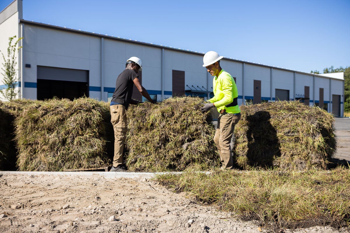 commercial construction sod installation warehouse industrial 2