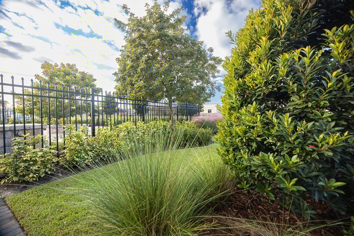 commercial nice office planting beds fence sod lawn