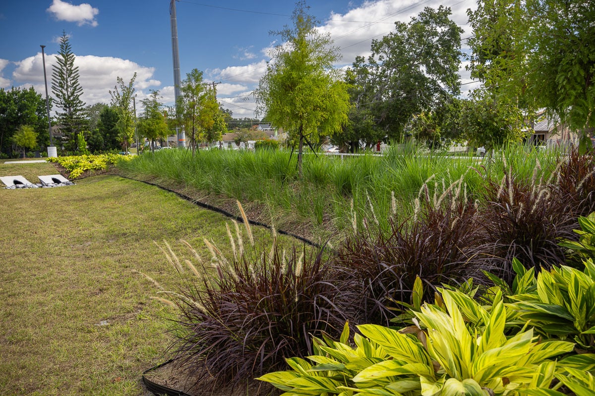 commercial planting retail shrubs perennials rain garden water pond 3