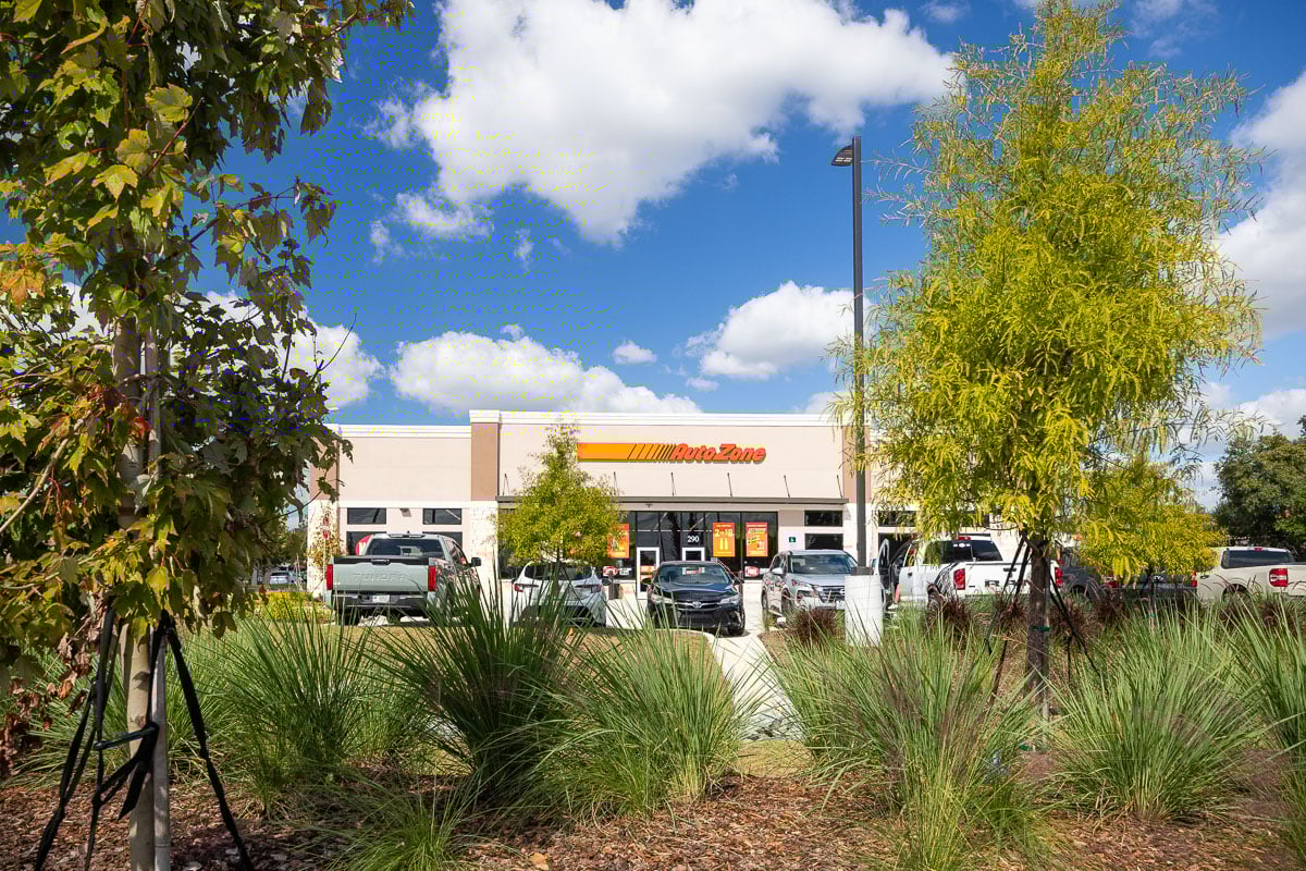 commercial retail planting beds complete nice perennials trees 11