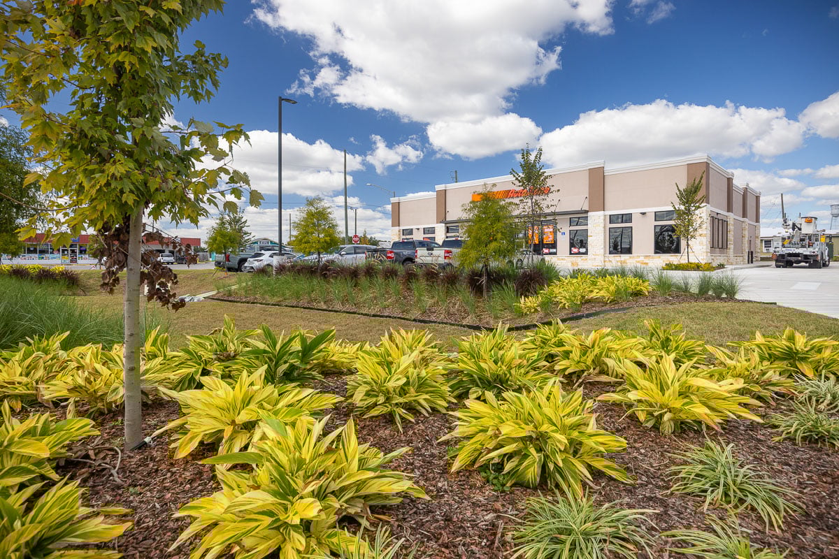 commercial retail planting beds complete nice perennials trees 3