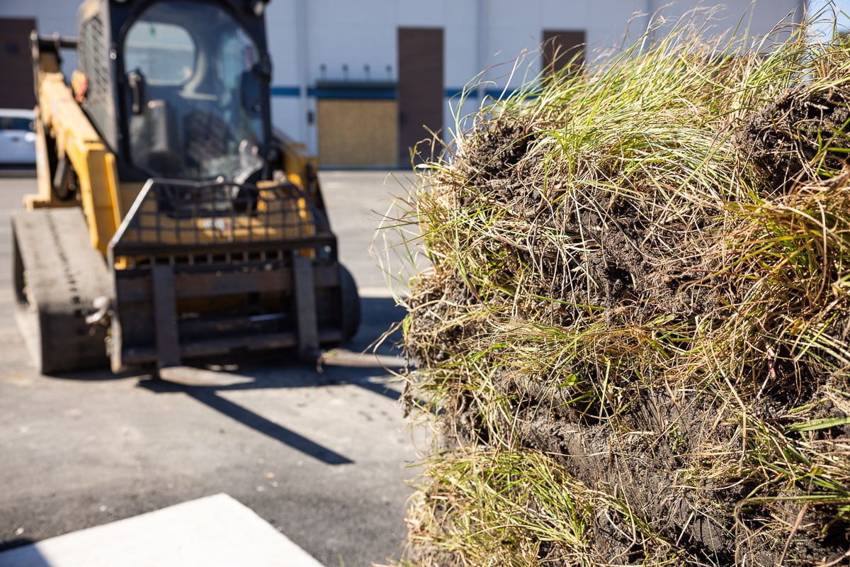 commercial sod installation 2
