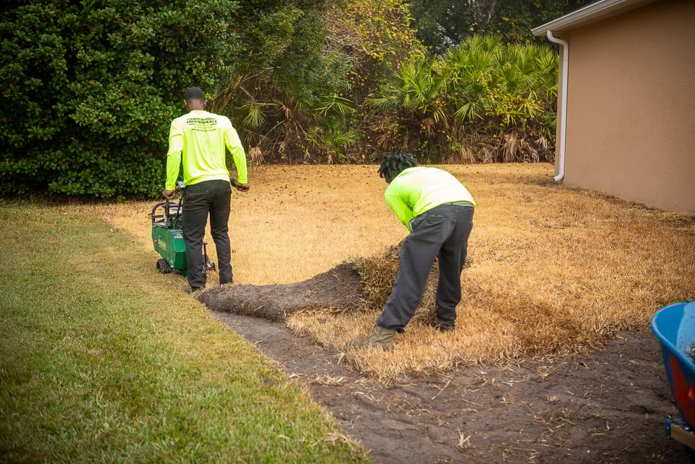 Crew cutting sod removal