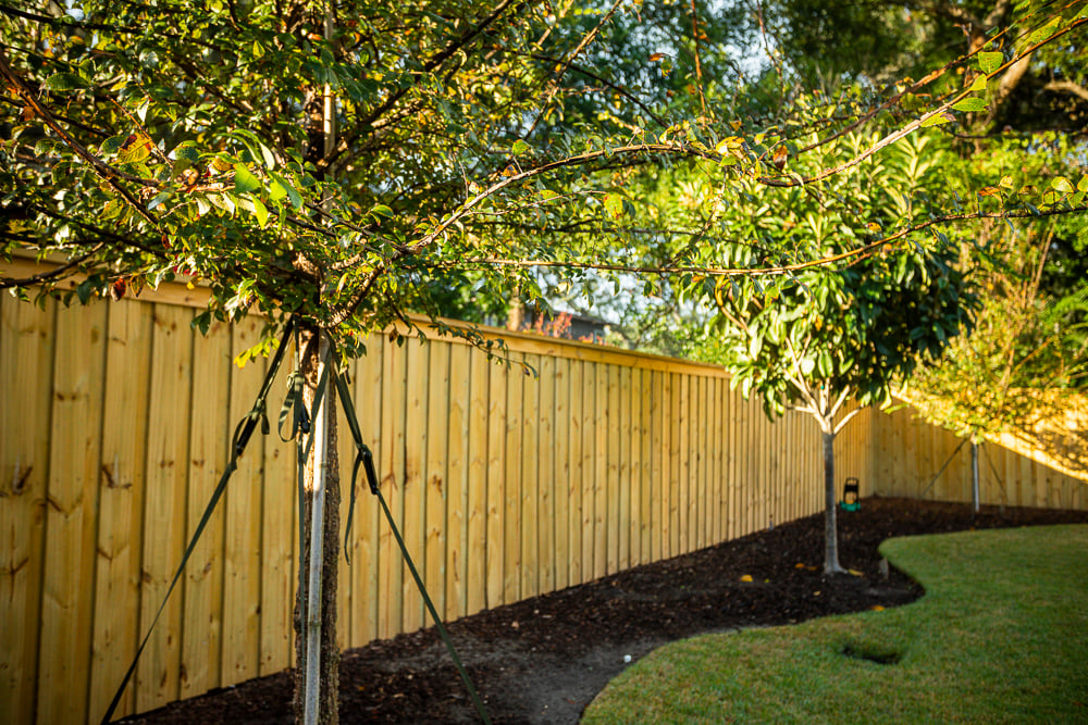 trees staked in planting bed near wood fence and lawn