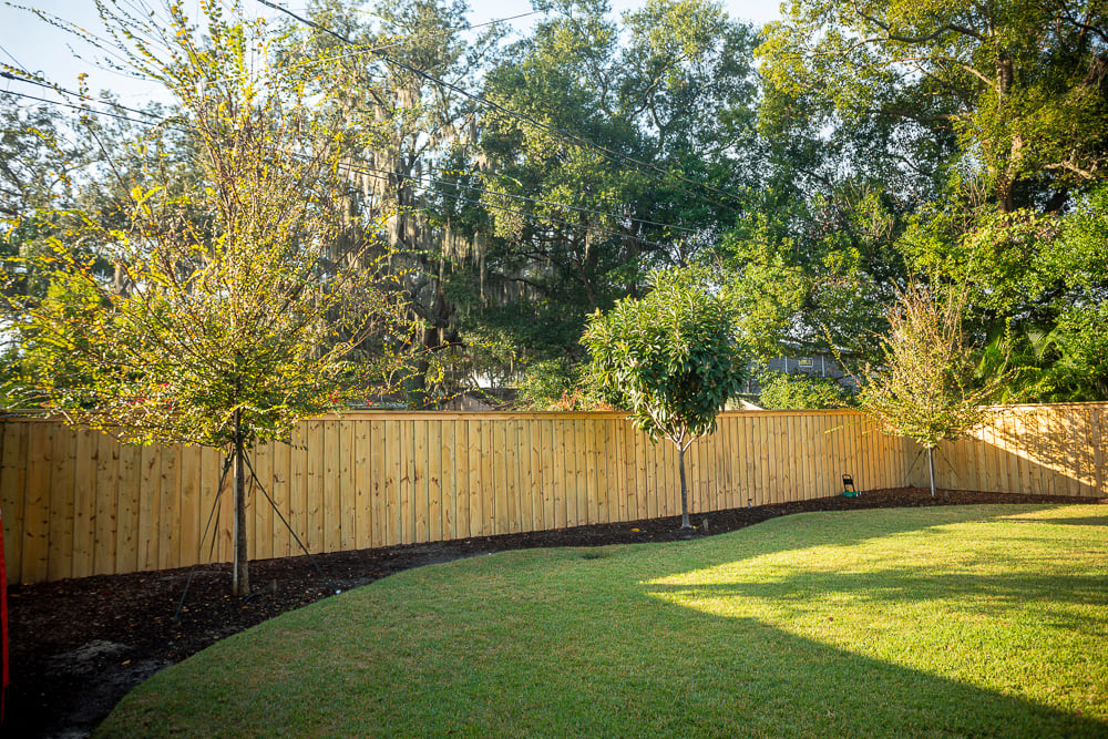 new fence with trees planted in front of it