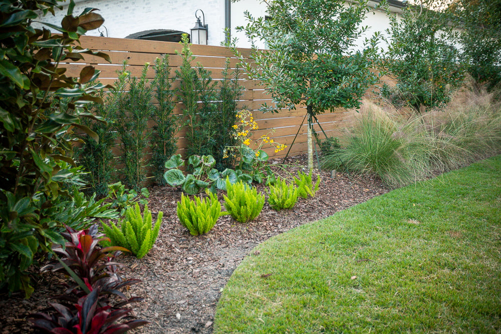 planting in landscape bed along fence