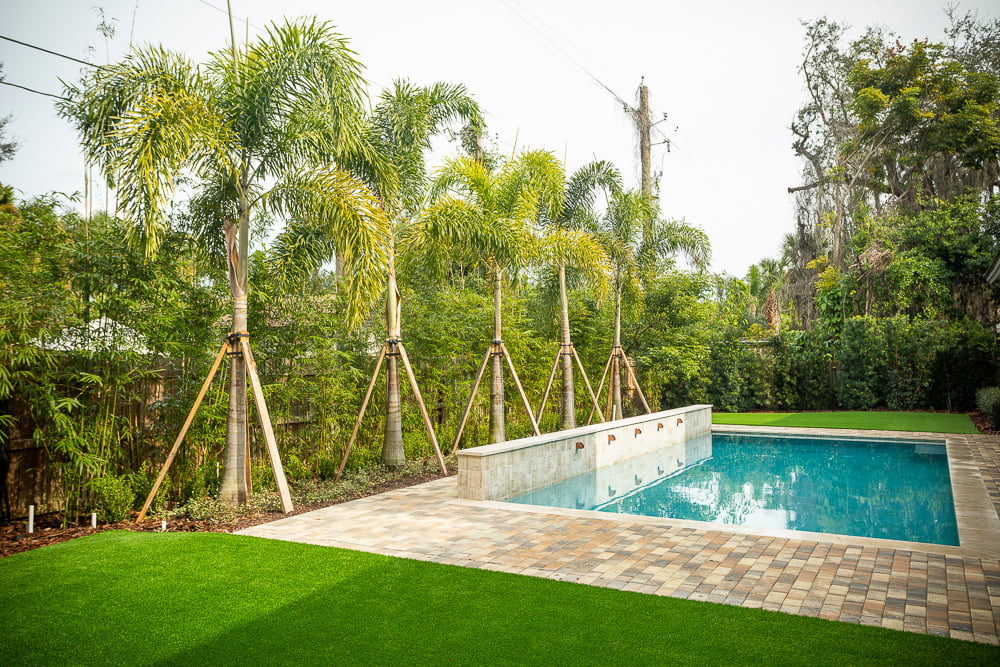 palm tree by pool with pavers