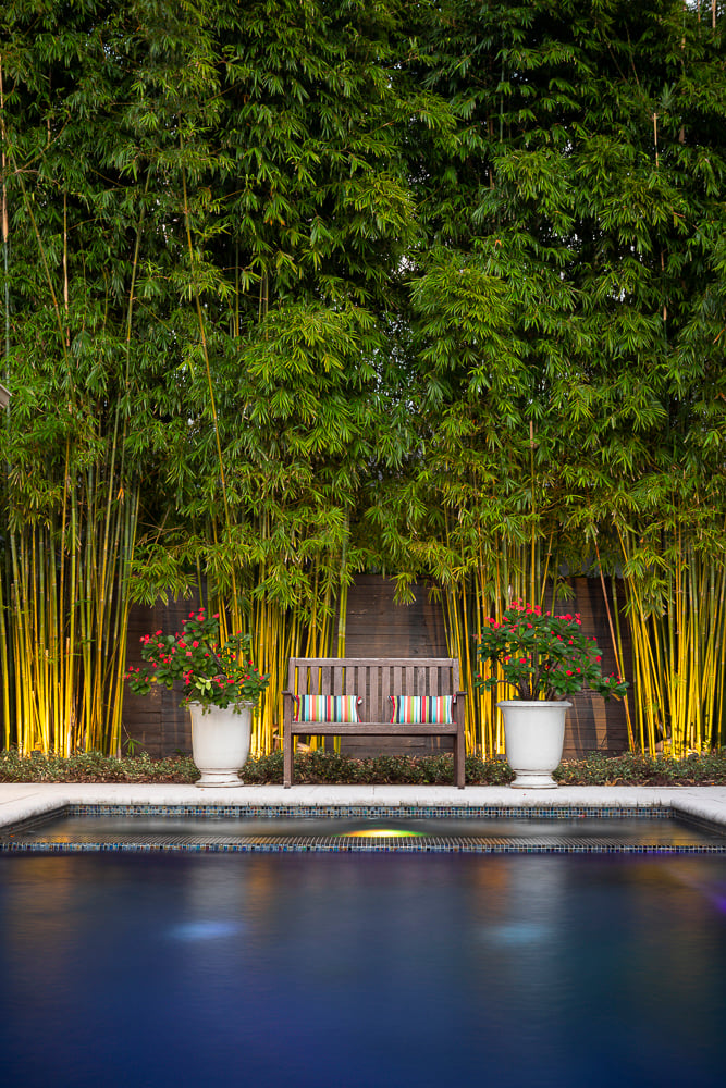 landscape lighting with pool 2