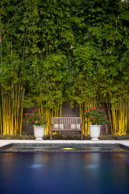 landscape lighting with pool 2