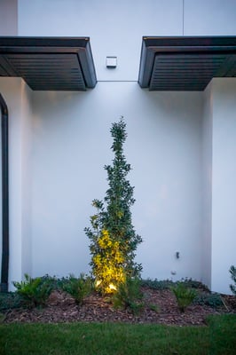 landscape lighting