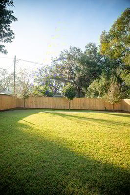 nice grass back