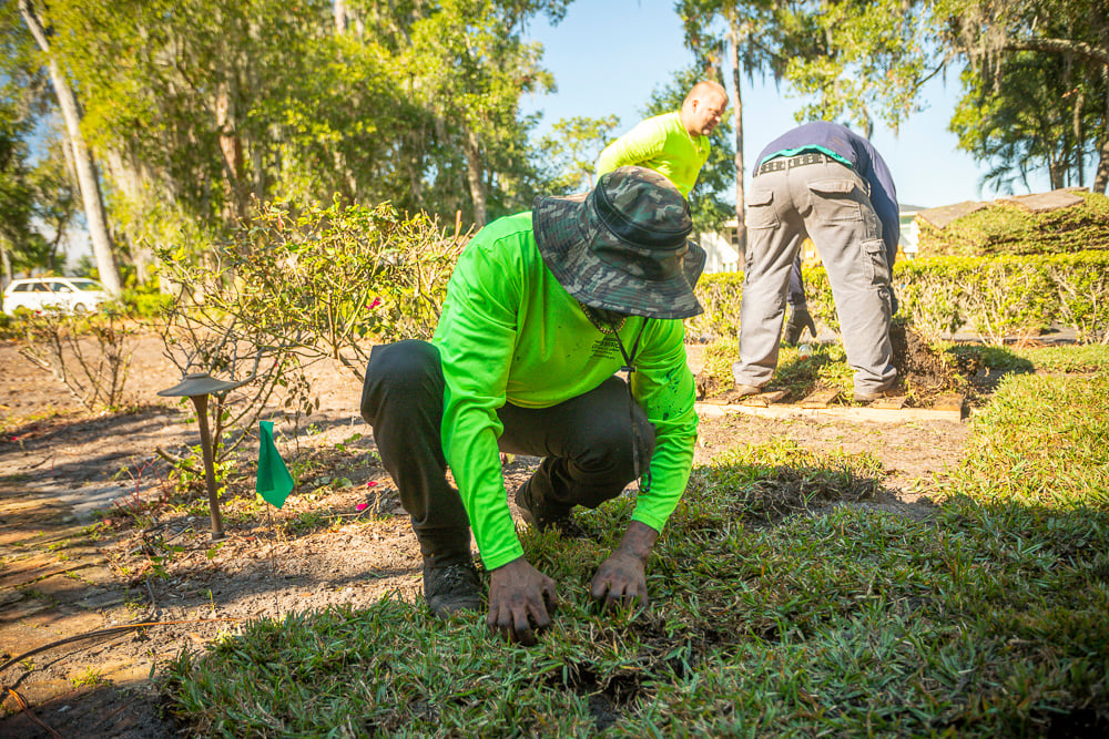 landscape team installs sod