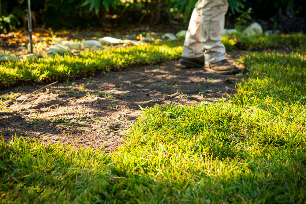 landscape team installs sod on fresh dirt