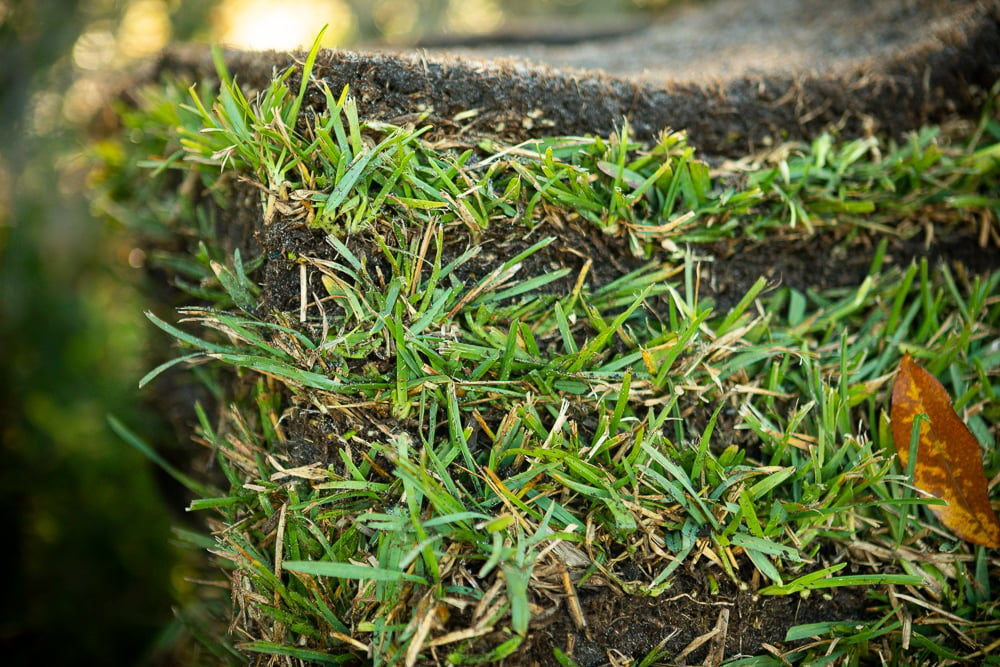 sod stacked close up