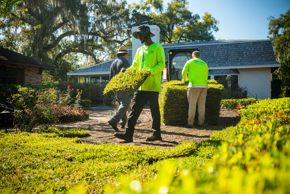 landscape crew installs sod