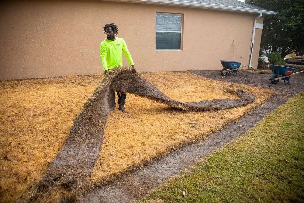landscape expert removes dead sod