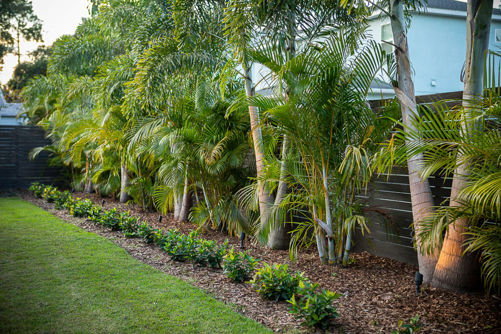 trees and perennials in border planting bed near fence and grass