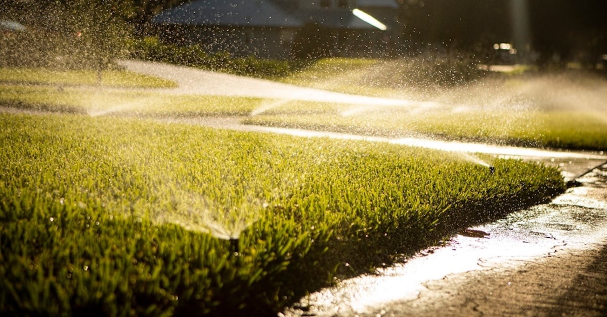 lawn sprinkler heads irrigating a sod lawn