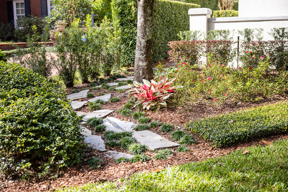 Grass, Mulch, Shrub Planting and Flagstone Walkway