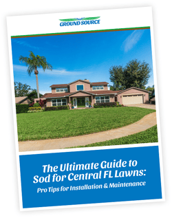 Ultimate Guide To Sod Cover
