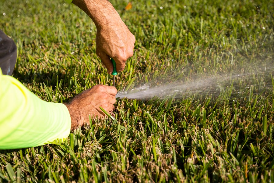 Irrigation technician adjusting sprinkler head