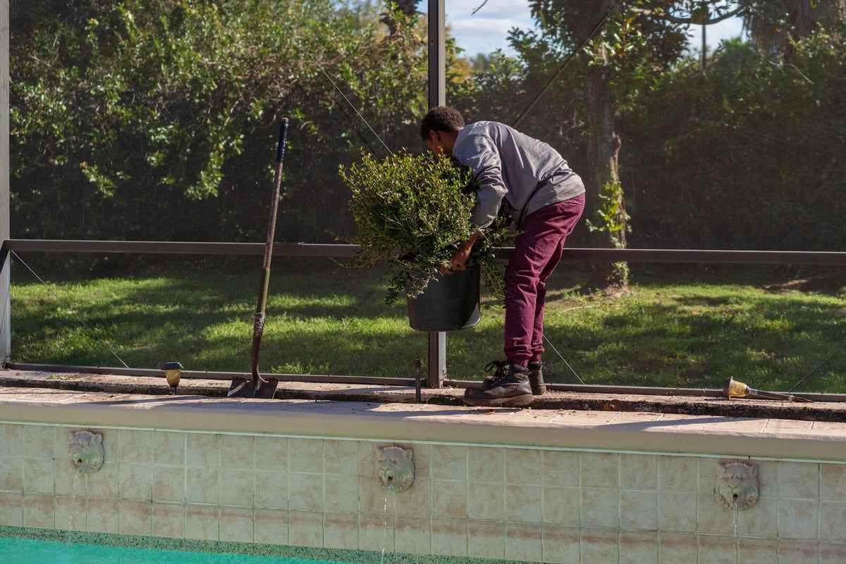 landscape install team plants shrub near pool