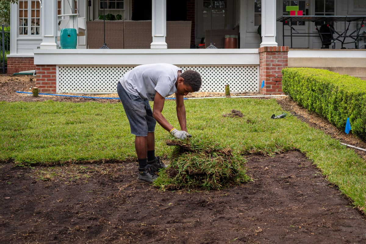 landscape crew installs sod