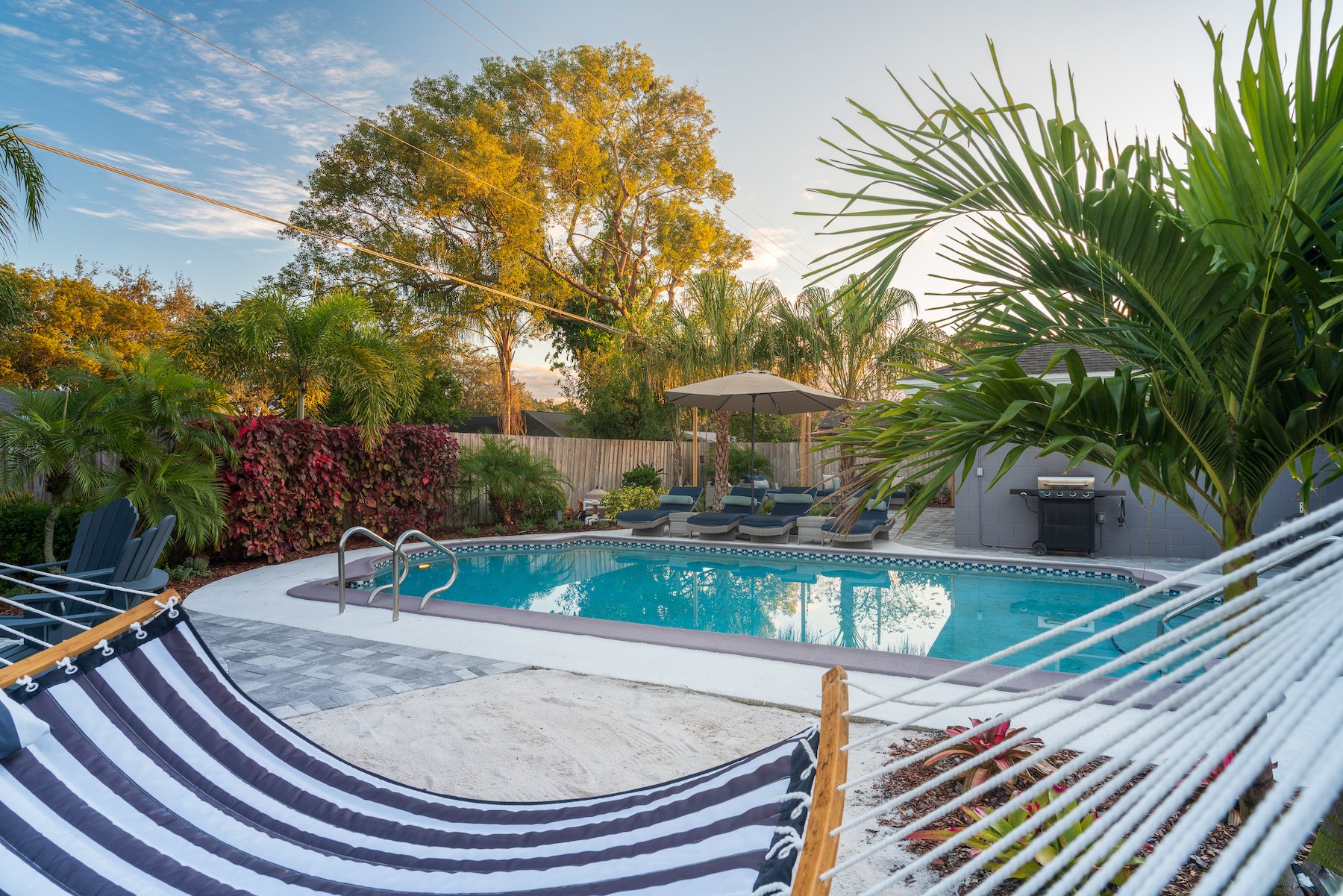 backyard landscape with pool and palm trees