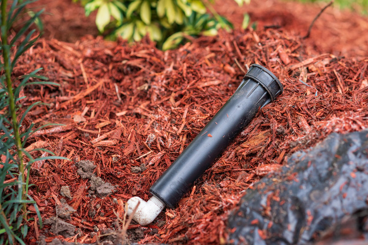 broken sprinkler head in landscape bed with mulch