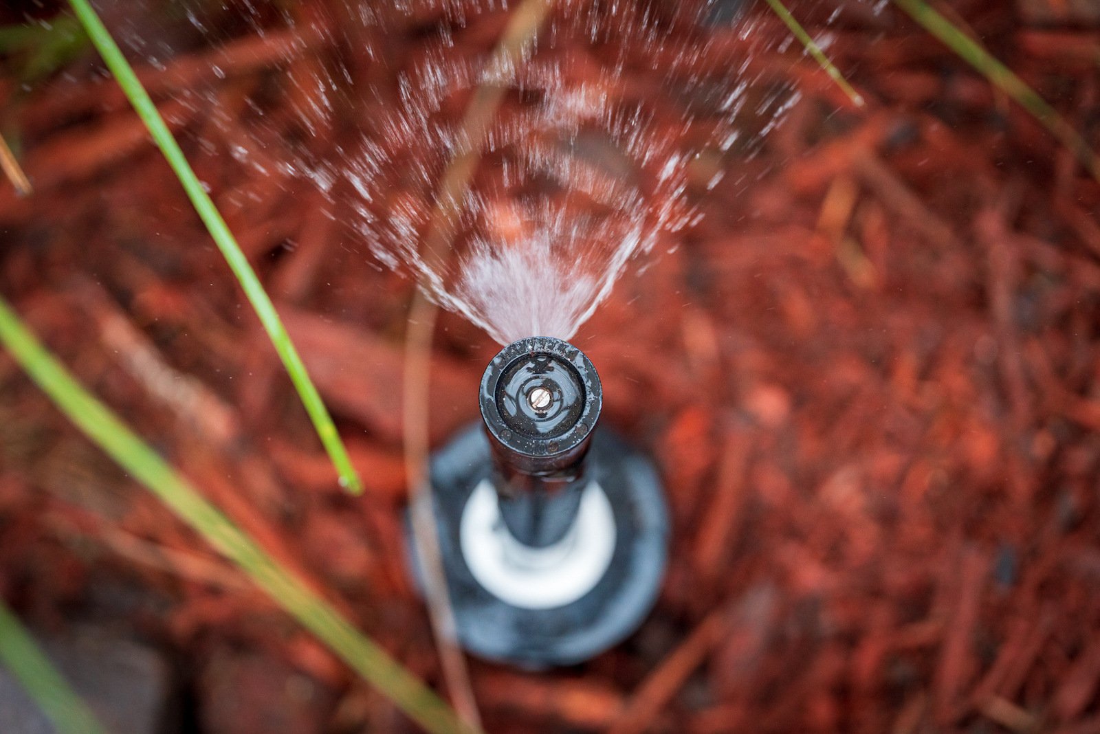 irrigation sprinkler head sprinkling water in mulch planting bed