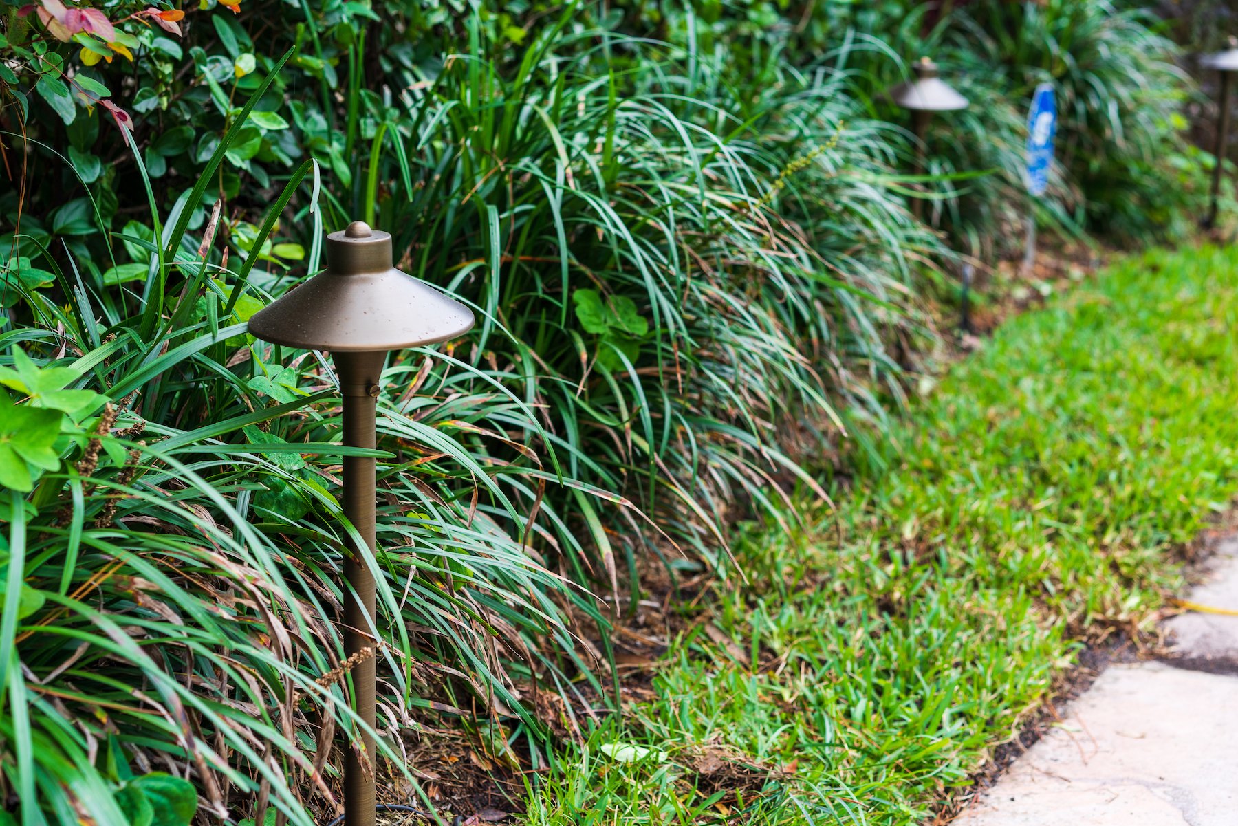 landscape lighting fixtures in a planting bed