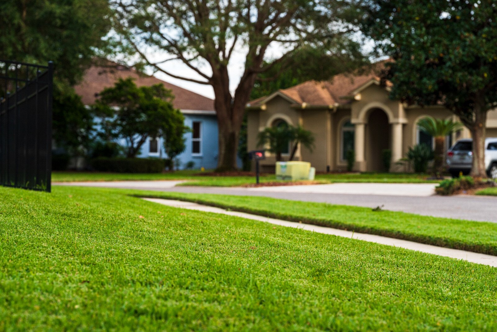 sod in front of home