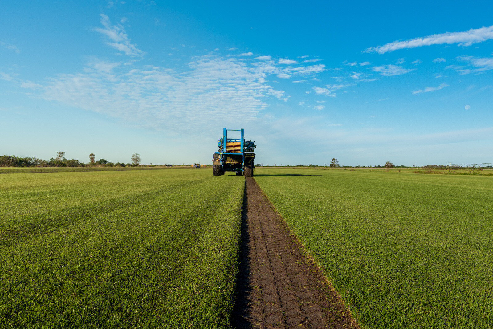 sod farm harvesting 